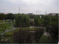 綠化養(yǎng)護(hù)