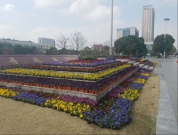 綠化設(shè)計(jì)施工
